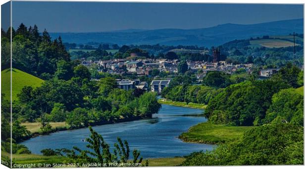 The River Dart and Totnes Canvas Print by Ian Stone
