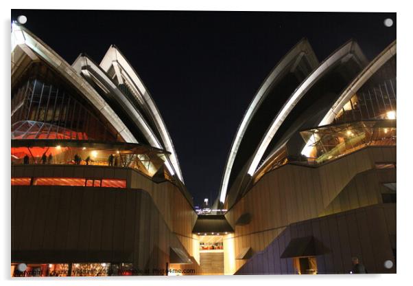 Sydney Opera House Acrylic by Kazim yildirimli