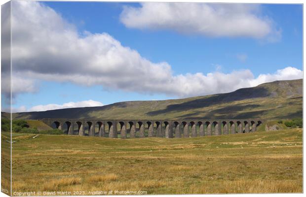 The Ribblehead Viaduct in Yorkshire Canvas Print by David Martin