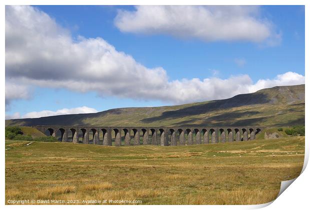 The Ribblehead Viaduct in Yorkshire Print by David Martin