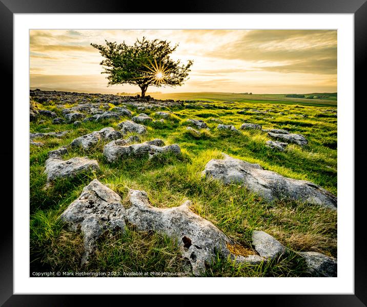 Eden Valley Lone Tree Framed Mounted Print by Mark Hetherington