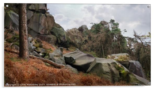 Rocky Moorland Landscape Acrylic by Chris Mobberley