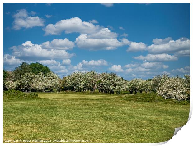 White Blossom Green Print by Roger Mechan