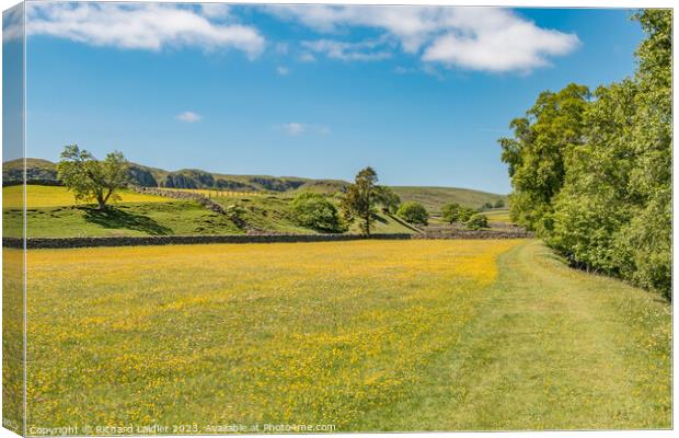The Pennine Way near Holwick, Teesdale in Spring Canvas Print by Richard Laidler
