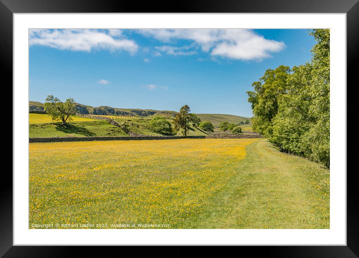 The Pennine Way near Holwick, Teesdale in Spring Framed Mounted Print by Richard Laidler
