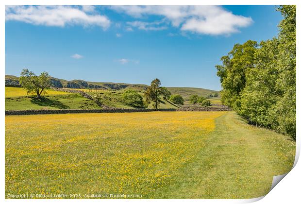 The Pennine Way near Holwick, Teesdale in Spring Print by Richard Laidler