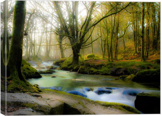 Hazy misty woods Canvas Print by Dave Bell