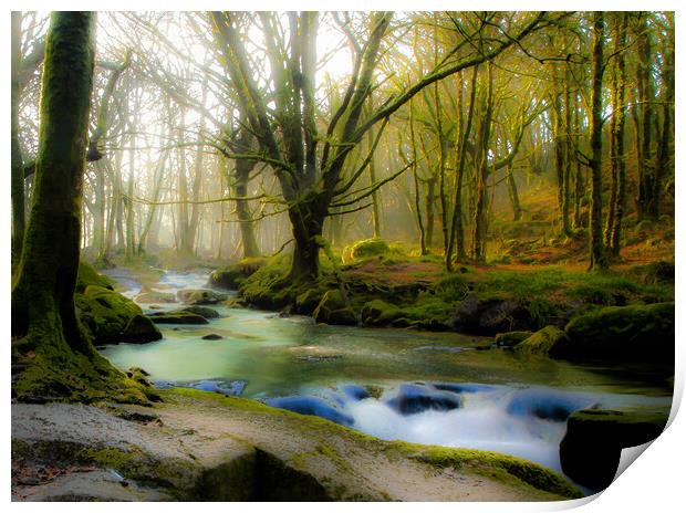 Hazy misty woods Print by Dave Bell
