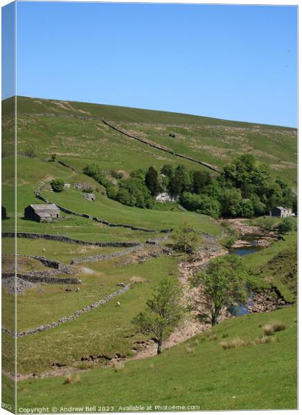 Serene landscapes of Upper Swaledale Canvas Print by Andrew Bell