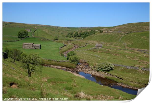 Serene Swaledale Print by Andrew Bell
