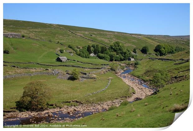 Verdant Swaledale Print by Andrew Bell