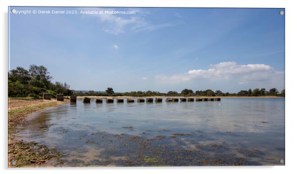 Dragon's Teeth, Bramble Bush Bay  Acrylic by Derek Daniel