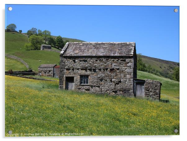 Rustic Charm of a Traditional Cow-House Acrylic by Andrew Bell