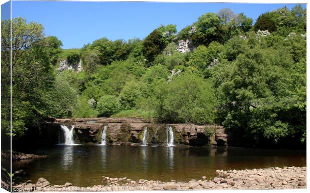 Wain Wath Force, Swaledale Canvas Print by Andrew Bell