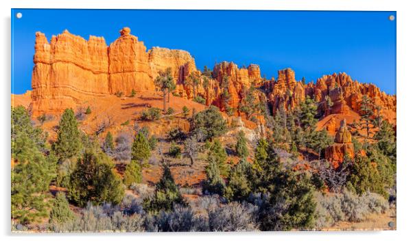 Red Canyon Utah Acrylic by John Frid