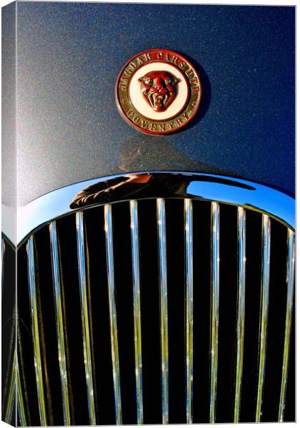 The Elegant Jaguar Canvas Print by Andy Evans Photos