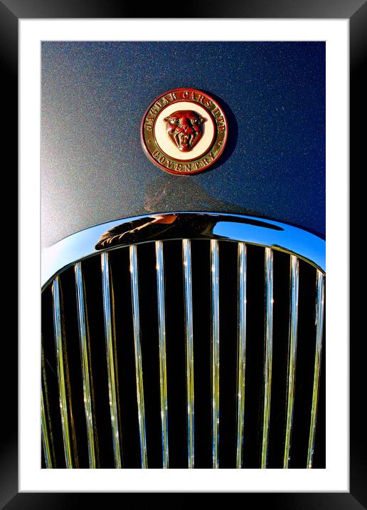 The Elegant Jaguar Framed Mounted Print by Andy Evans Photos