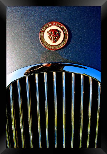 The Elegant Jaguar Framed Print by Andy Evans Photos