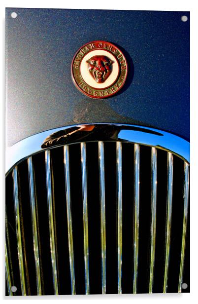 The Elegant Jaguar Acrylic by Andy Evans Photos