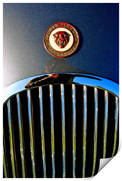 The Elegant Jaguar Print by Andy Evans Photos