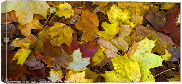 Autumn Leaves Canvas Print by Jon Saiss