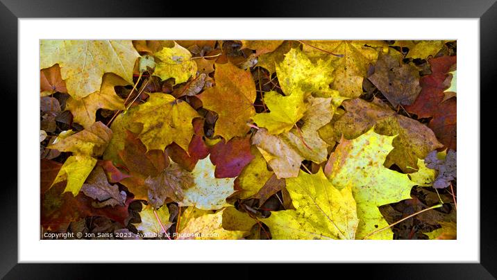 Autumn Leaves Framed Mounted Print by Jon Saiss