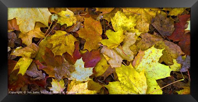 Autumn Leaves Framed Print by Jon Saiss