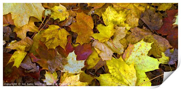 Autumn Leaves Print by Jon Saiss