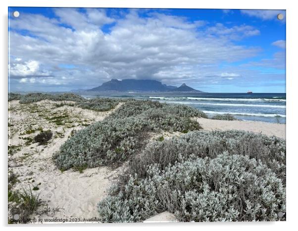 Table Mountain from Bloubergstrand Acrylic by PT Ridge