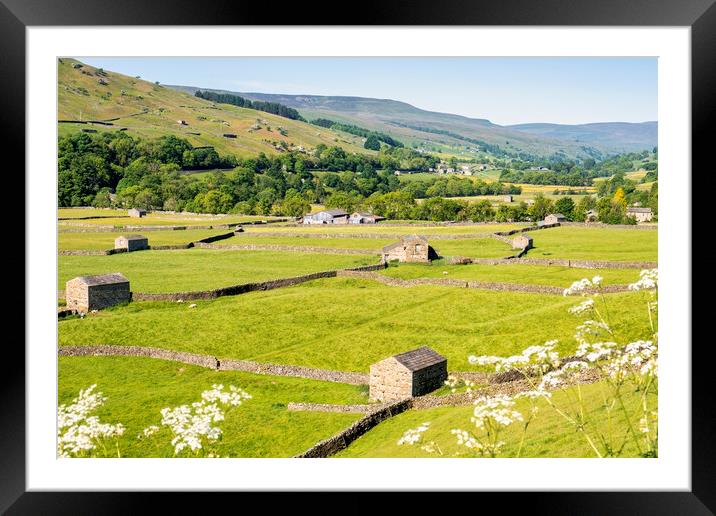 Barns and dry stone walls in Gunnerside, Swaledale Framed Mounted Print by Tim Hill