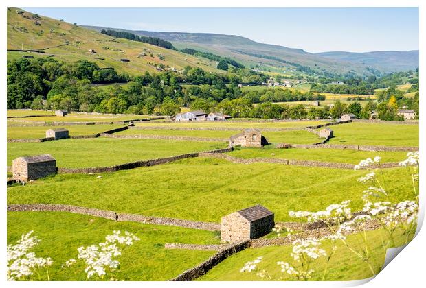 Barns and dry stone walls in Gunnerside, Swaledale Print by Tim Hill
