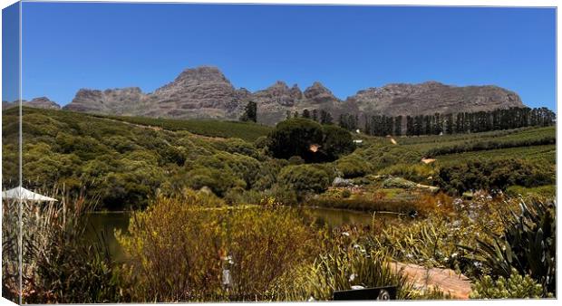 Outdoor mountain in the South African winelands Canvas Print by PT Ridge