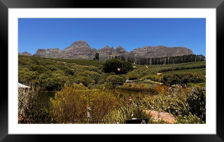 Outdoor mountain in the South African winelands Framed Mounted Print by PT Ridge