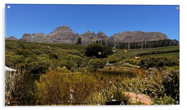 Outdoor mountain in the South African winelands Acrylic by PT Ridge