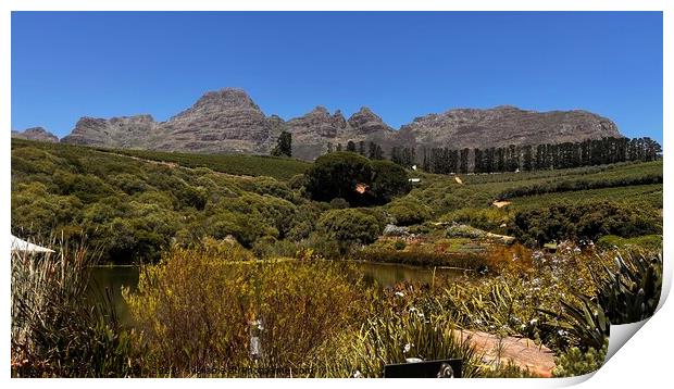 Outdoor mountain in the South African winelands Print by PT Ridge