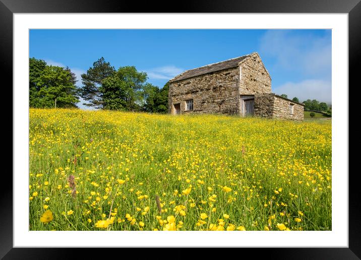 Muker Wildflower Meadows Upper Swaledale Framed Mounted Print by Tim Hill