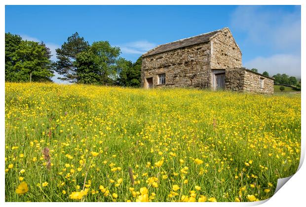 Muker Wildflower Meadows Upper Swaledale Print by Tim Hill