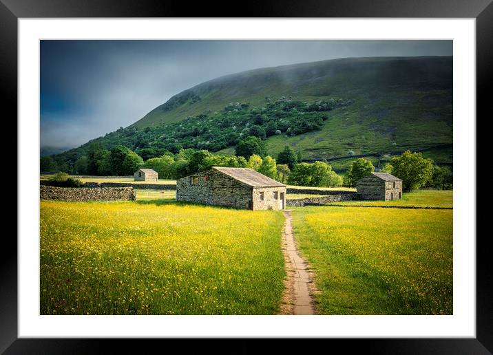 Muker Buttercup Meadow Dreams Framed Mounted Print by Tim Hill