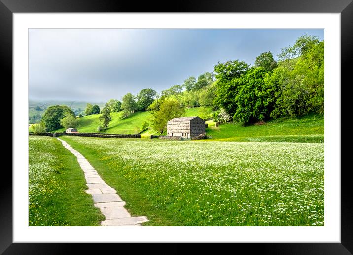 Muker Meadows In Bloom Framed Mounted Print by Steve Smith