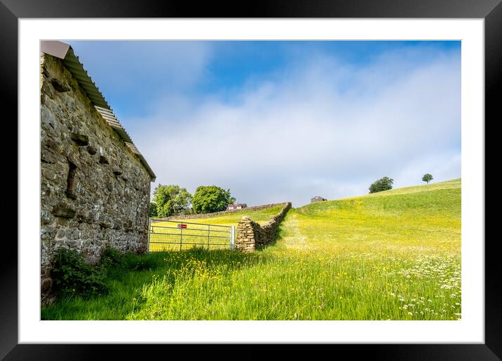 Wild Meadows At Muker Framed Mounted Print by Steve Smith