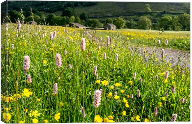 Wild Meadows At Muker Swaledale Canvas Print by Steve Smith
