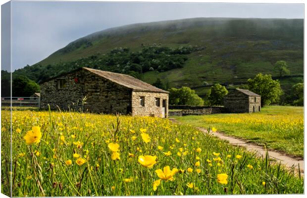 Muker Wildflower Meadows, Upper Swaledale Canvas Print by Tim Hill