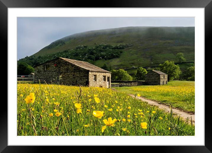Muker Wildflower Meadows, Upper Swaledale Framed Mounted Print by Tim Hill