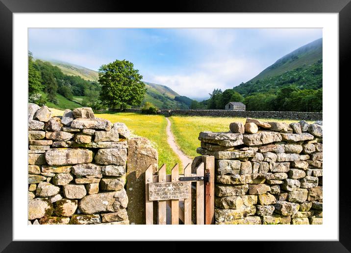 Muker Flower Meadows Swaledale, North Yorkshire Framed Mounted Print by Tim Hill