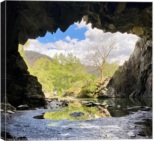 Cave  Canvas Print by Andrew Sheekey