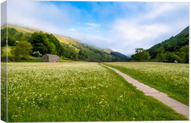 Into the Blue: Muker Wildflower Meadows Canvas Print by Tim Hill