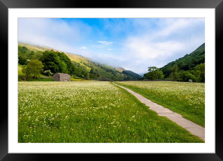 Into the Blue: Muker Wildflower Meadows Framed Mounted Print by Tim Hill
