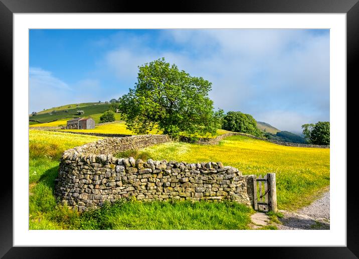 Muker Meadows In Swaledale Framed Mounted Print by Steve Smith