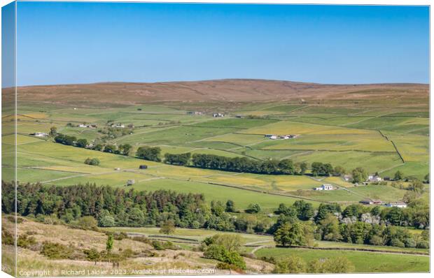 Ettersgill from Holwick Fell, Teesdale Canvas Print by Richard Laidler