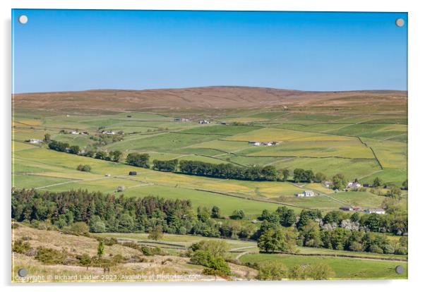 Ettersgill from Holwick Fell, Teesdale Acrylic by Richard Laidler